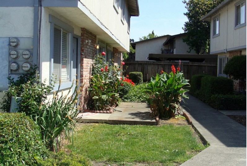 Herbert Street Apartments photo 3